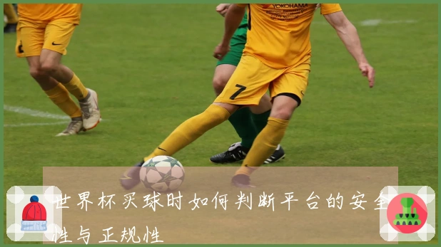 世界杯买球时如何判断平台的安全性与正规性