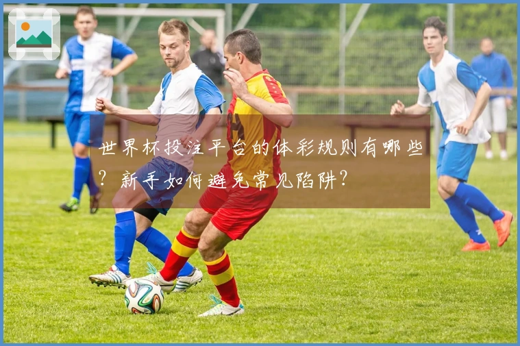 世界杯投注平台的体彩规则有哪些？新手如何避免常见陷阱？