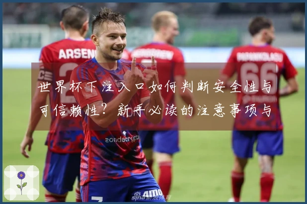 世界杯下注入口如何判断安全性与可信赖性？新手必读的注意事项与建议
