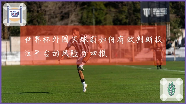 世界杯外围买球前如何有效判断投注平台的风险与回报