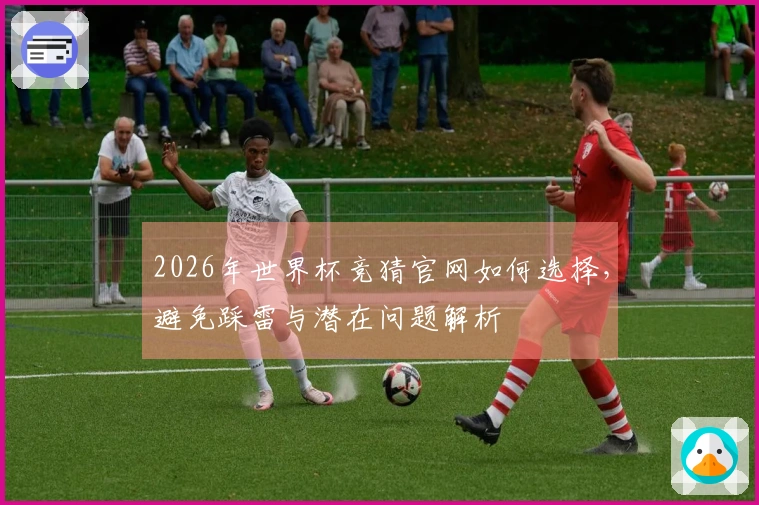 2026年世界杯竞猜官网如何选择，避免踩雷与潜在问题解析
