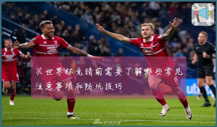 买世界杯竞猜前需要了解哪些常见注意事项和防坑技巧
