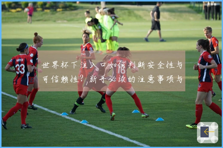 世界杯下注入口如何判断安全性与可信赖性？新手必读的注意事项与建议