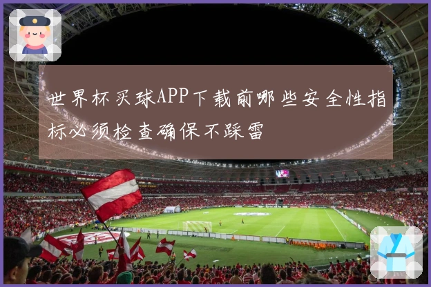 世界杯买球APP下载前哪些安全性指标必须检查确保不踩雷