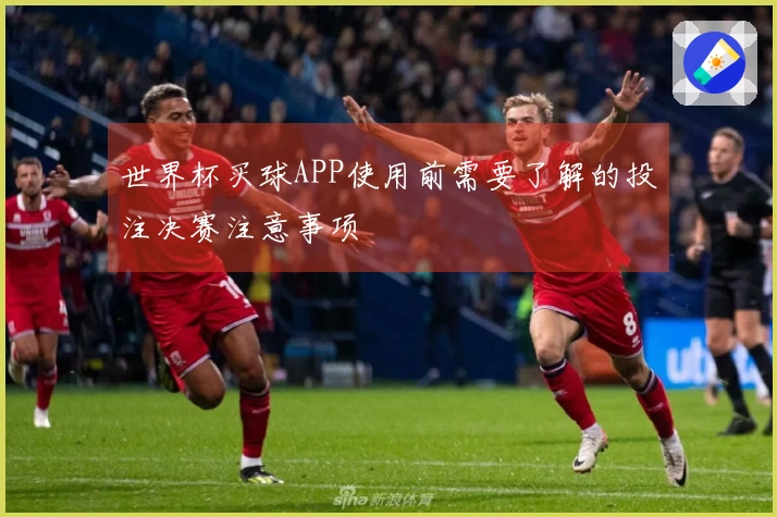 世界杯买球APP使用前需要了解的投注决赛注意事项