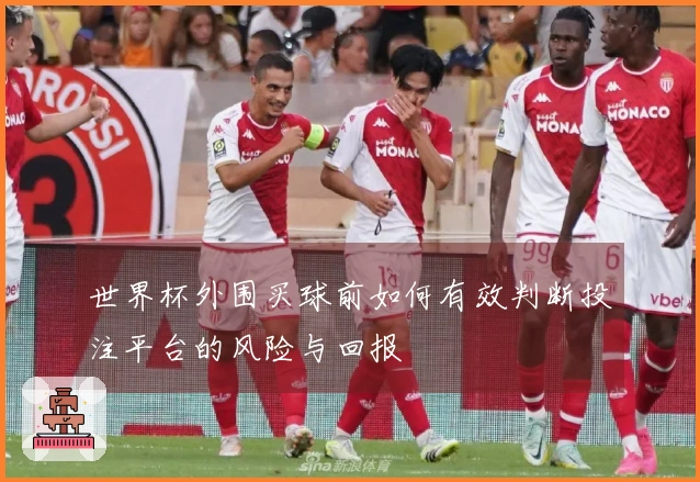 世界杯外围买球前如何有效判断投注平台的风险与回报