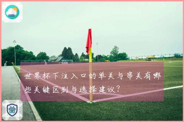 世界杯下注入口的单关与串关有哪些关键区别与选择建议？