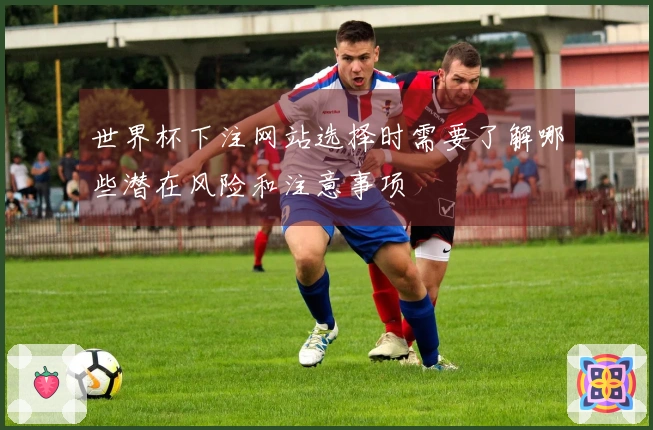 世界杯下注网站选择时需要了解哪些潜在风险和注意事项