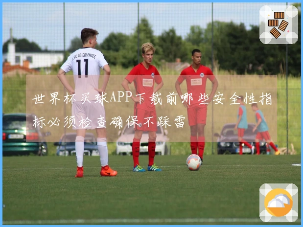 世界杯买球APP下载前哪些安全性指标必须检查确保不踩雷
