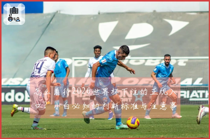 怎么看待2026世界杯下注的正规入口？小白必知的判断标准与注意事项